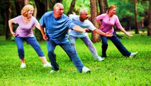 Tai Chi for Lunch with Martin Nagle - Starts 12 February 2025