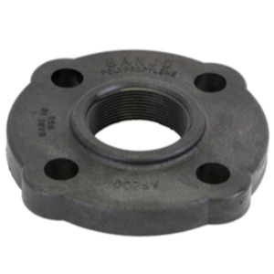 Ansi Flanges: Banjo 2 inch NPT(F) ANSI flange female threaded 4 x bolt Polypropylene