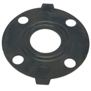 Banjo 2 inch ANSI flange EPDM gasket