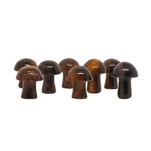 Tigers Eye Mushroom