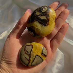 Septarian Palm Stone