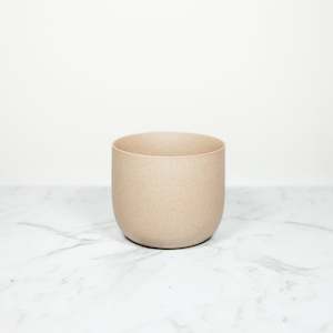 Plant, garden: SAND | Classic 8.5CM