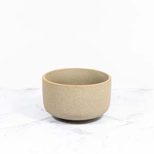 Plant, garden: SAND | CLASSIC 10.5CM