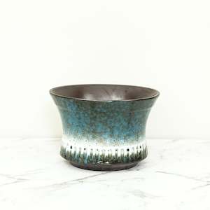 Plant, garden: ARCTIC GLAZE | 13.5CM