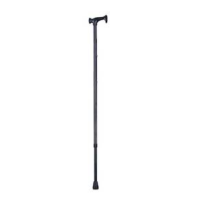 CA833L-1  Walking Stick