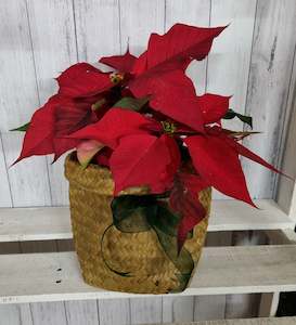 Christmas Poinsettia Kete