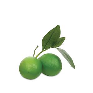 Pair of Limes