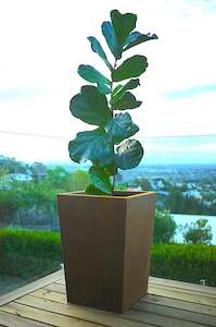 Tall tapered planter