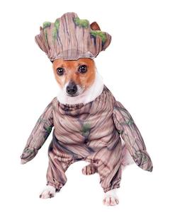 Walking Groot Deluxe Pet Costume - Marvel Guardians Of The Galaxy