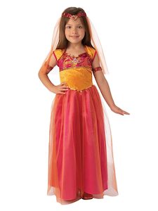 Aladdin Costumes: Bollywood Dancer Costume for Kids