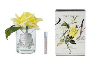 Côte Noire Perfumed Natural Touch Single Rose - Clear - Yellow - GMR08