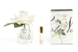 Côte Noire Perfumed Natural Touch Single Rose - Clear - Pink Blush - GMR02