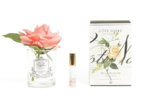 Côte Noire Perfumed Natural Touch Single Rose - Clear - Peach - GMR05