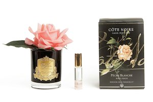 Côte Noire Perfumed Natural Touch Single Rose - Black - Peach - GMRB05