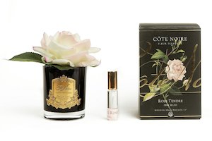 Côte Noire Perfumed Natural Touch Single Rose - Black - Pink Blush - GMRB02