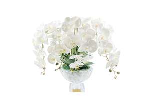 Cote Noire Luxury Centrepiece Orchid Bouquet - White & Gold Badge CPO01