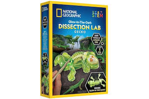 NG Gecko Dissection Lab