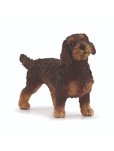 SC Wire-Haired Dachshund (Red Dot)