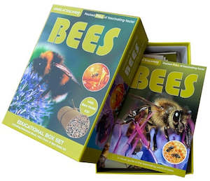 Science: Discover Bees