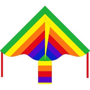 Simple Flyer Rainbow 85cm kite