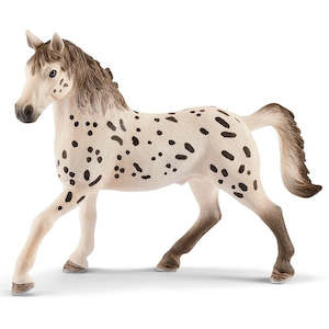 SC Knapstrupper Stallion (Grey Dot)