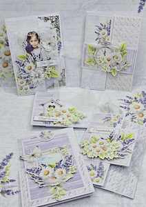 Artist supply: SAT2413 : 5 Intricate Feminine Cards Project (CK)