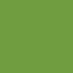 Artist supply: ZCD363- Kaisercraft 12x12 Weave Cardstock - LIME