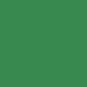 ZCD362- Kaisercraft 12x12 Weave Cardstock - JADE