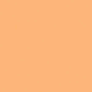 ZCD319- Kaisercraft 12x12 Weave Cardstock - APRICOT