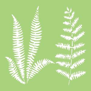 IT483 : 6x6 Designer Template - Ferns