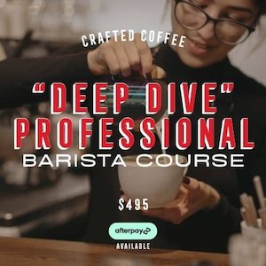 “Deep Dive” – Professional Barista Course