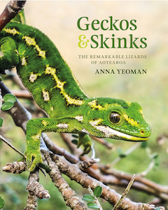 Geckos & Skinks