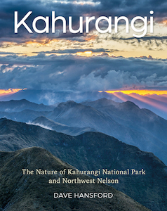 Kahurangi