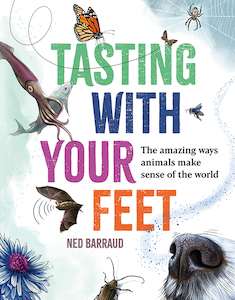 Tasting with your Feet