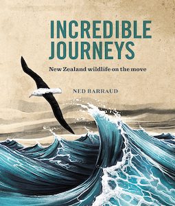 Books: Incredible Journeys