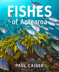 Fishes of Aotearoa