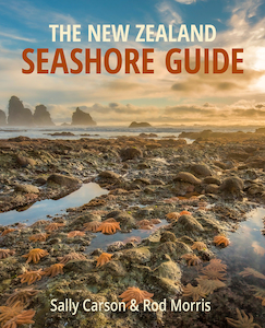 Books: The New Zealand Seashore Guide