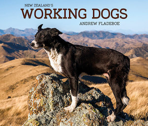 New Zealand’s Working dogs