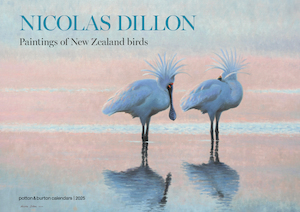 2025 Nicolas Dillon Paintings of New Zealand Birds Calendar