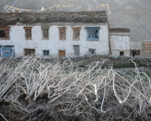 Art gallery: Mountain House, Ladakh