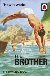 Art gallery: The Ladybird Book of How it Works: The Brother