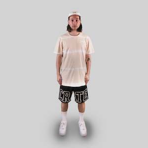 Clothing: MEN'S TYE DIE STRIPE T-SHIRT