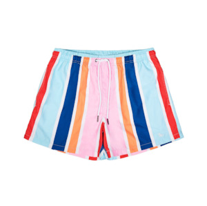 Brights Stripe Swim Shorts