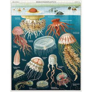 Jellyfish 1000pc Jigsaw Puzzle