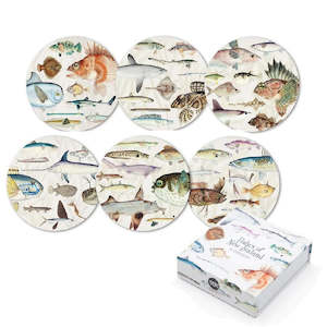 Fishes of NZ Coasters Set of 6