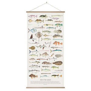 Wall Art: Fishes of New Zealand Wall Chart