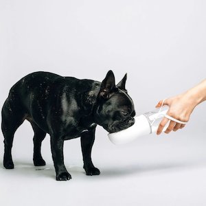 White Thirsty Dog Bottle