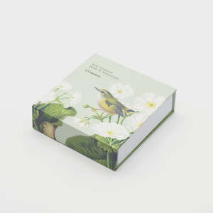 New Zealand: Birds & Botanicals of NZ Set of 6 Coasters