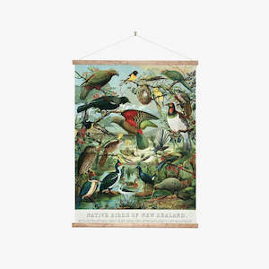 Wall Chart - Native Birds of NZ - Medium