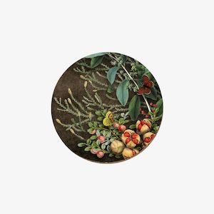 Rimu & Kohekohe Pods Coaster